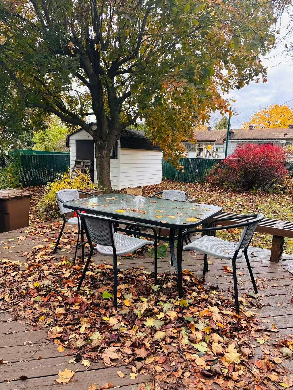 Patio - 35 Rue Des Chrysanthèmes, La Prairie, QC - Outdoor