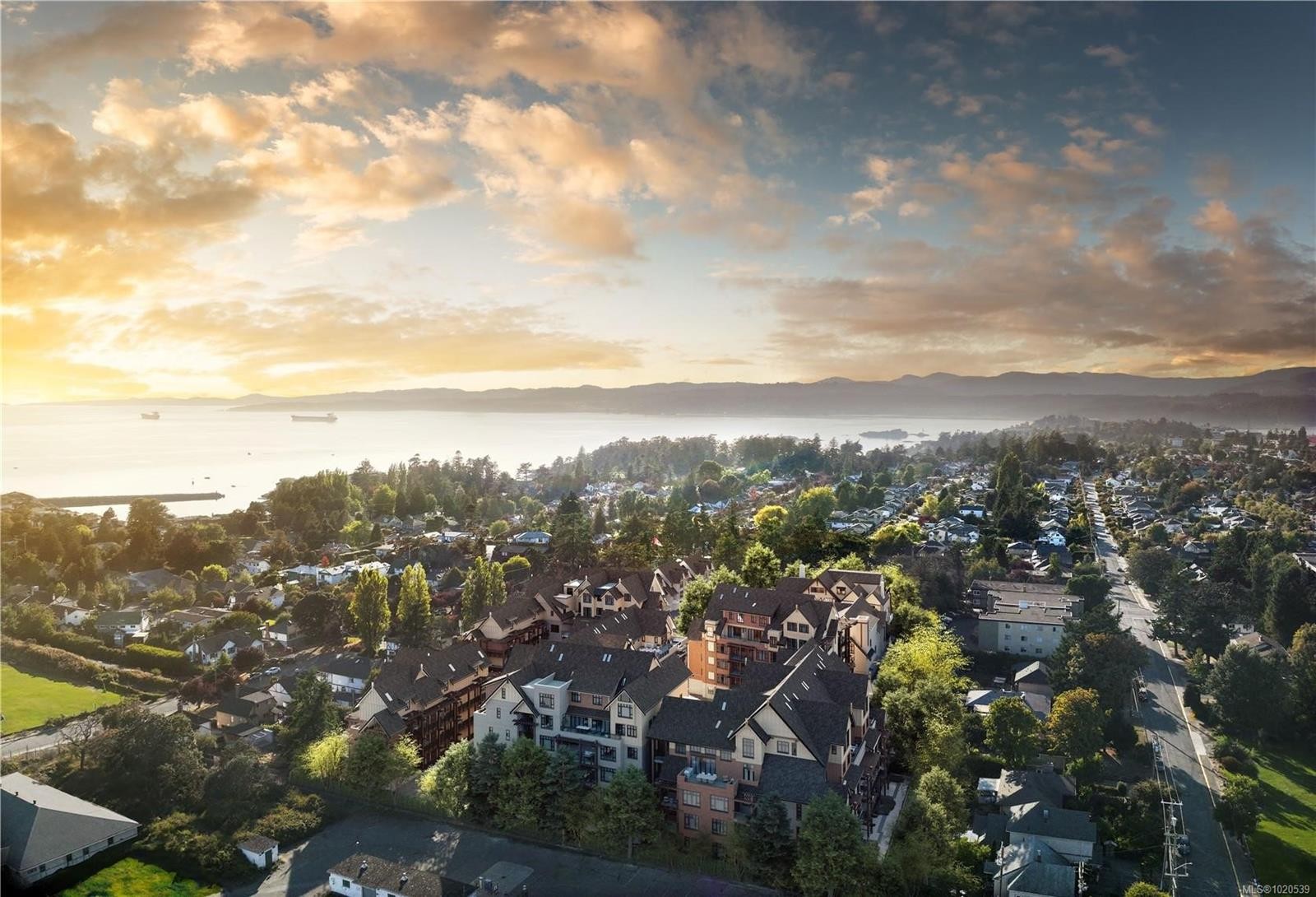 217-427 Lampson St, Esquimalt, BC - Outdoor With Body Of Water With View