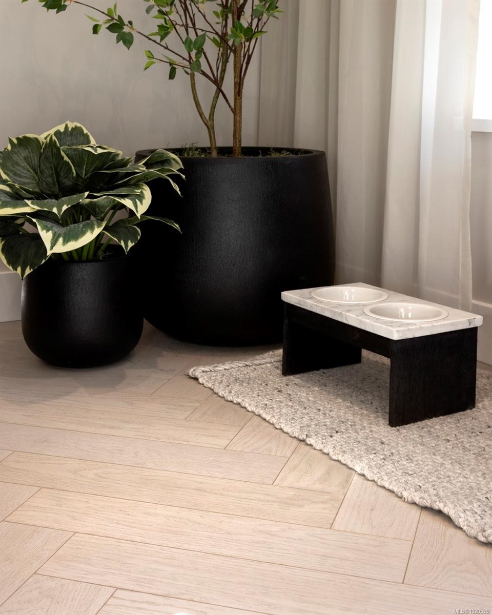 217-427 Lampson St, Esquimalt, BC - Indoor Photo Showing Other Room