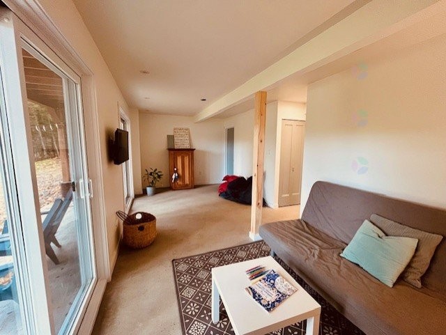 Family Room - 18 Rue Des Draveurs, La Minerve, QC - Indoor