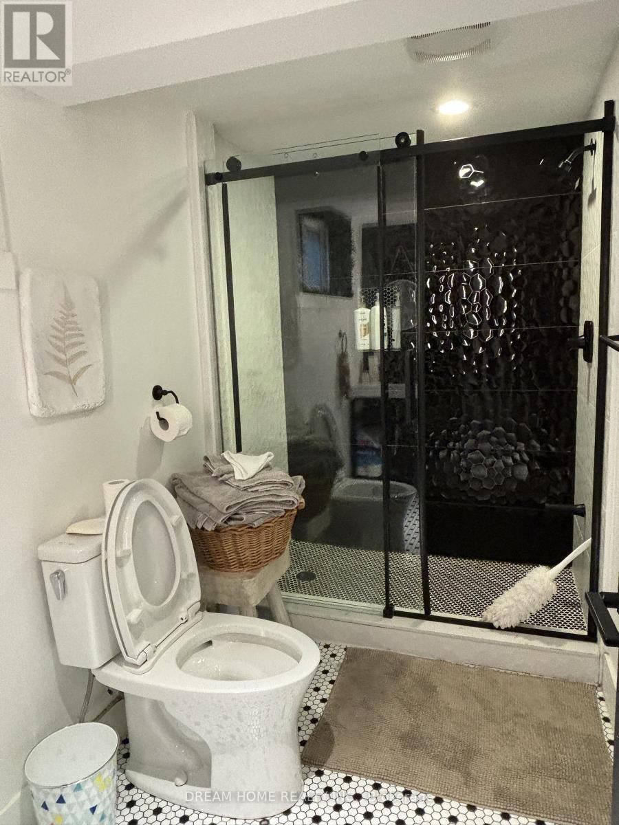 Bsmt/2 - 160 Olde Bayview Avenue, Richmond Hill, ON - Indoor Photo Showing Bathroom