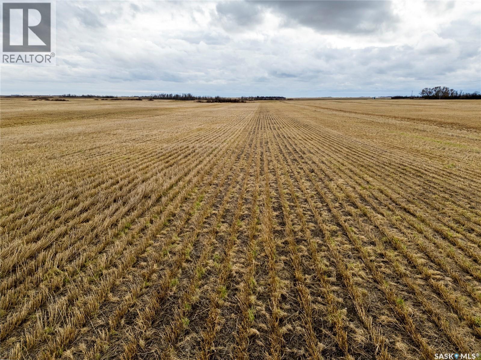 2,326 Acres - Estevan/Macoun, Benson Rm No. 35, SK
