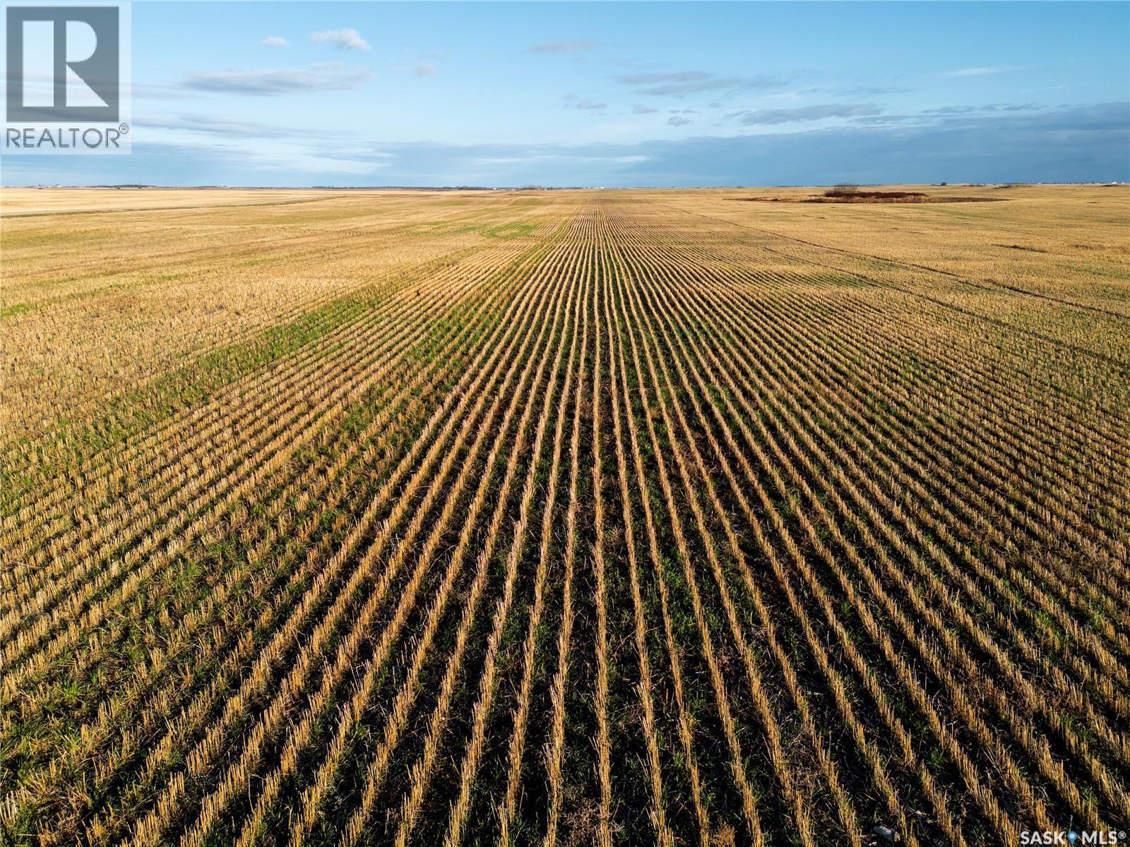 2,326 Acres - Estevan/Macoun, Benson Rm No. 35, SK