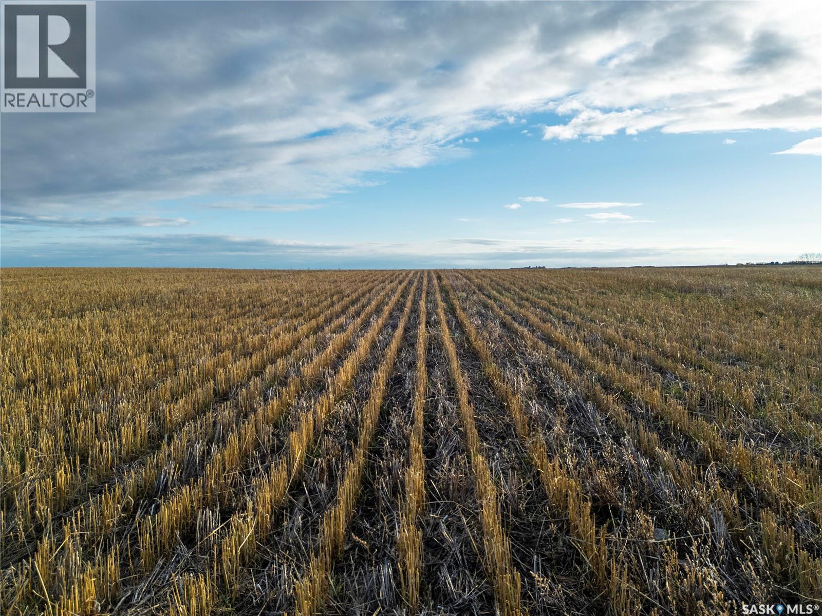 2,326 Acres - Estevan/Macoun, Benson Rm No. 35, SK