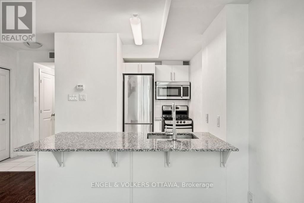 408 - 195 Besserer Street, Ottawa, ON - Indoor Photo Showing Kitchen With Upgraded Kitchen