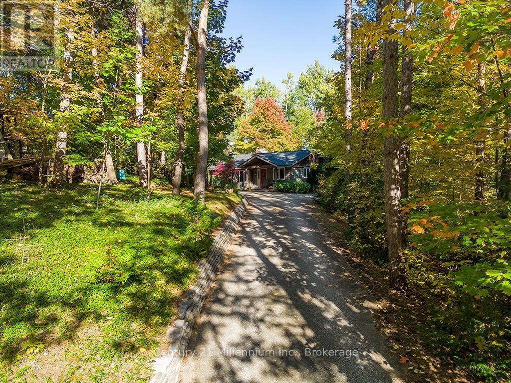 265797 25Th Side Road, Meaford, ON - Outdoor