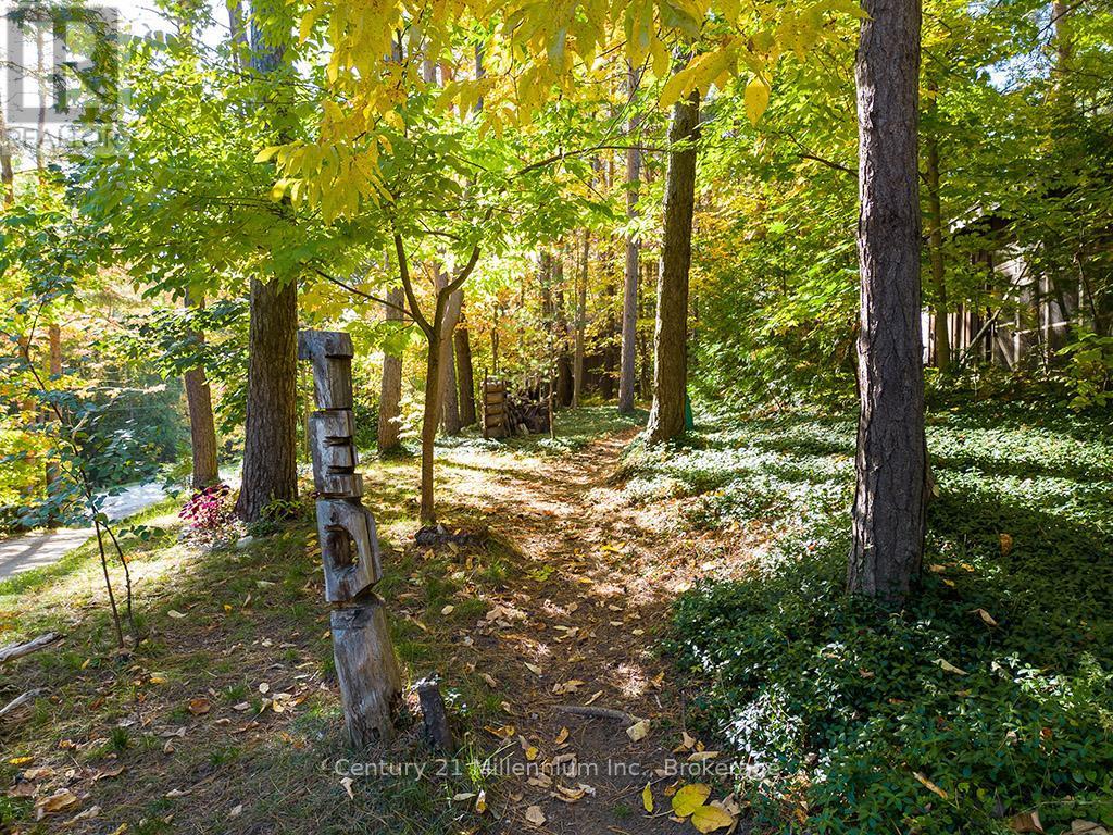 265797 25Th Side Road, Meaford, ON - Outdoor
