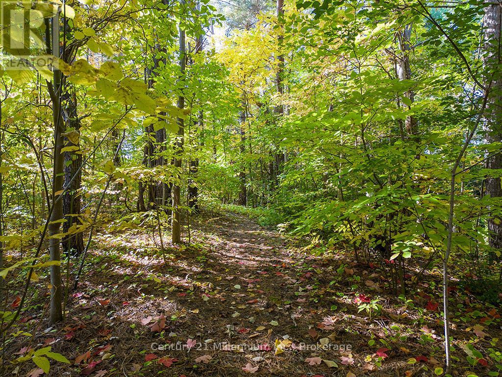 265797 25Th Side Road, Meaford, ON - Outdoor