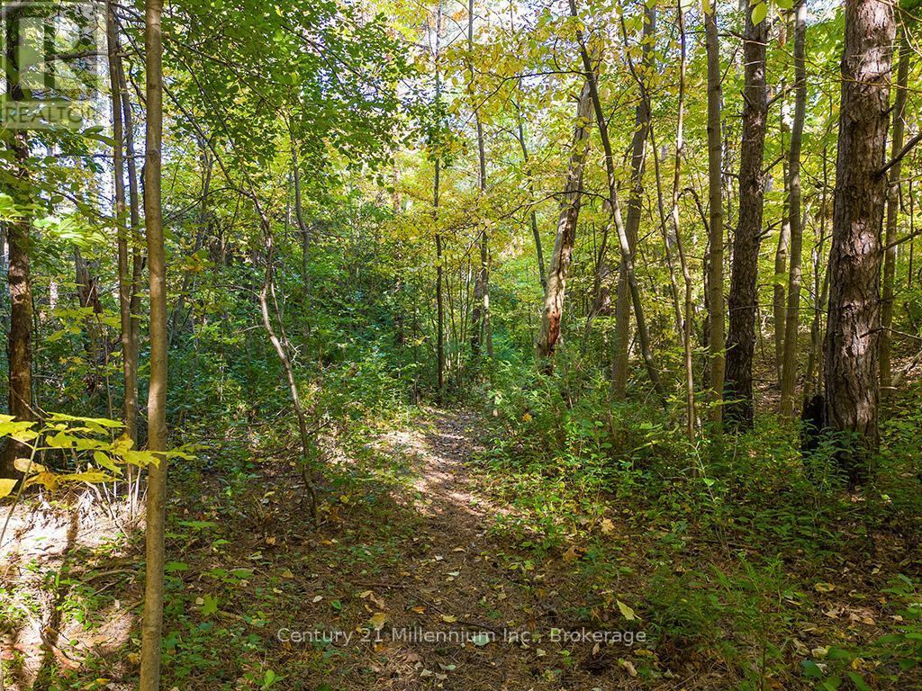 265797 25Th Side Road, Meaford, ON - Outdoor