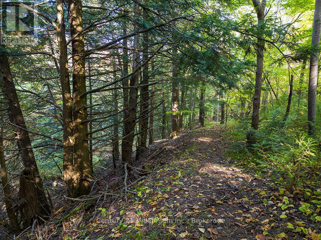 Trails Through Out Property - 265797 25Th Side Road, Meaford, ON - Outdoor With View