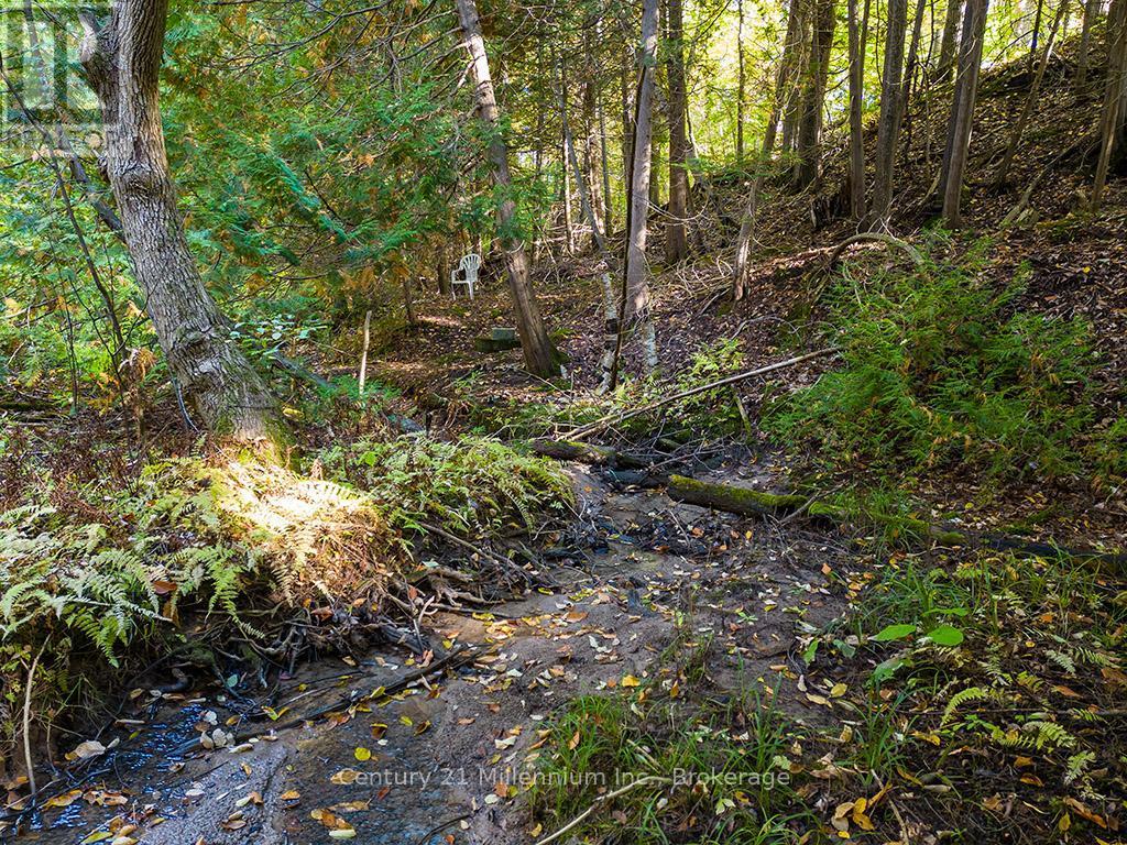 265797 25Th Side Road, Meaford, ON - Outdoor