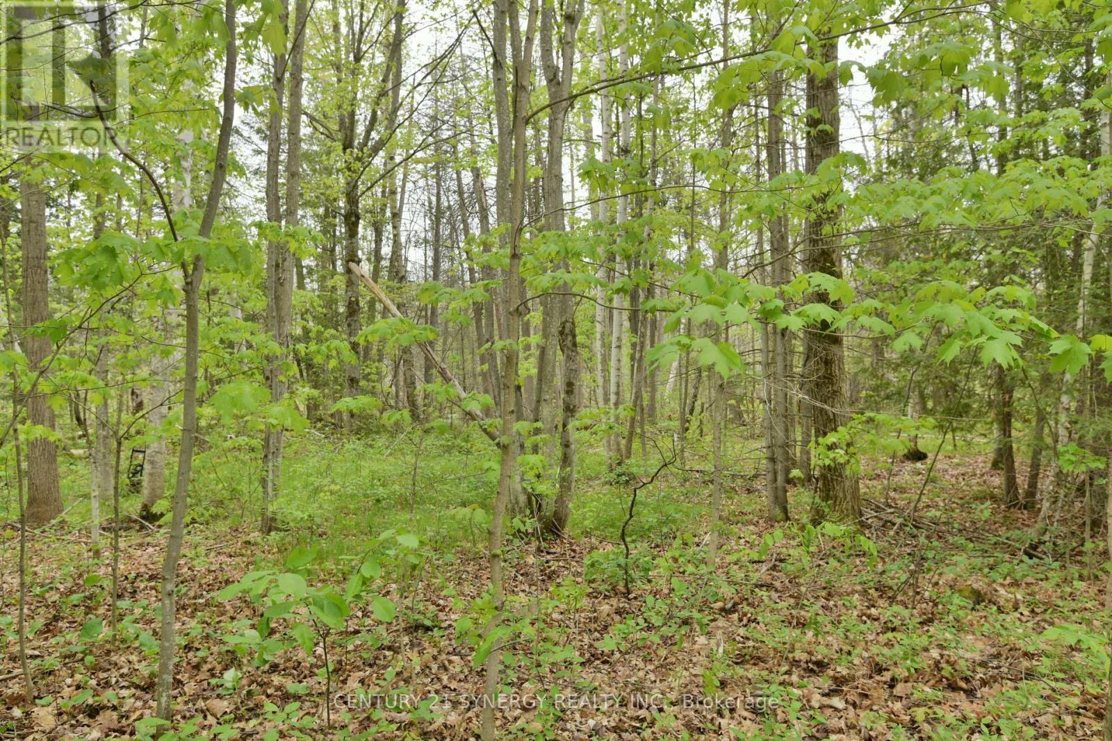 00 Milton Stewart Avenue, Mcnab/Braeside, ON