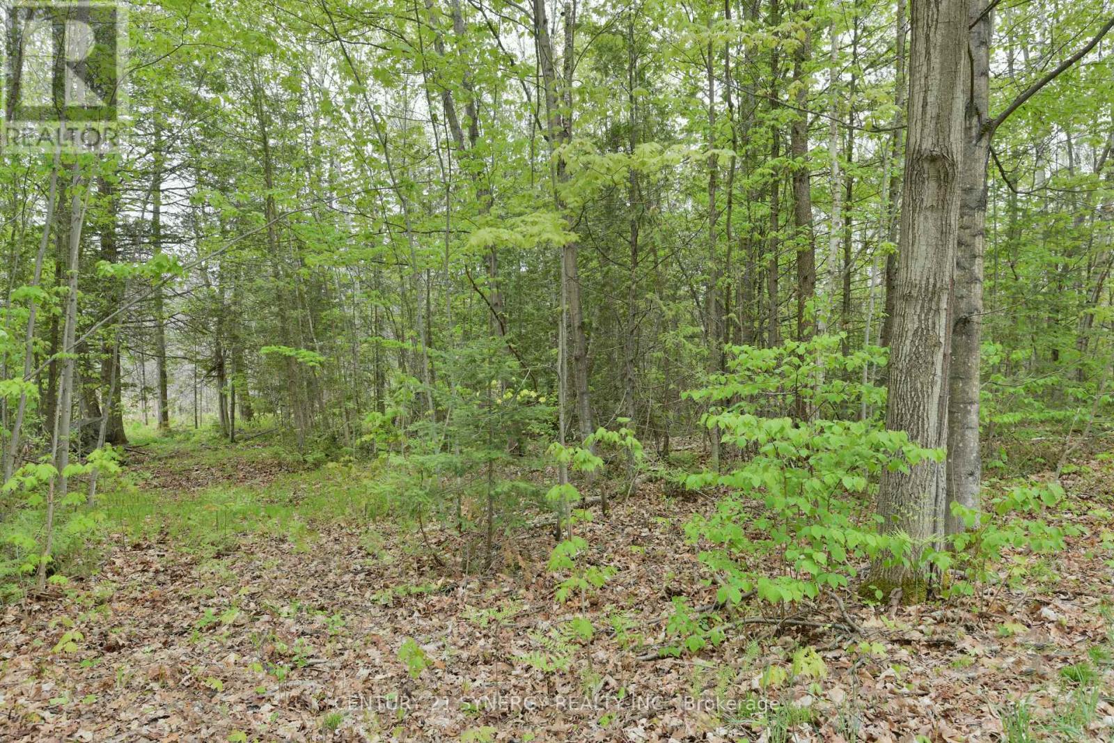 00 Milton Stewart Avenue, Mcnab/Braeside, ON