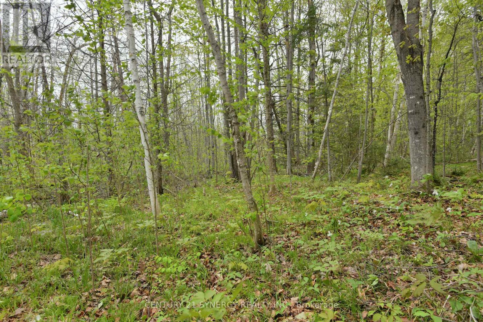 00 Milton Stewart Avenue, Mcnab/Braeside, ON