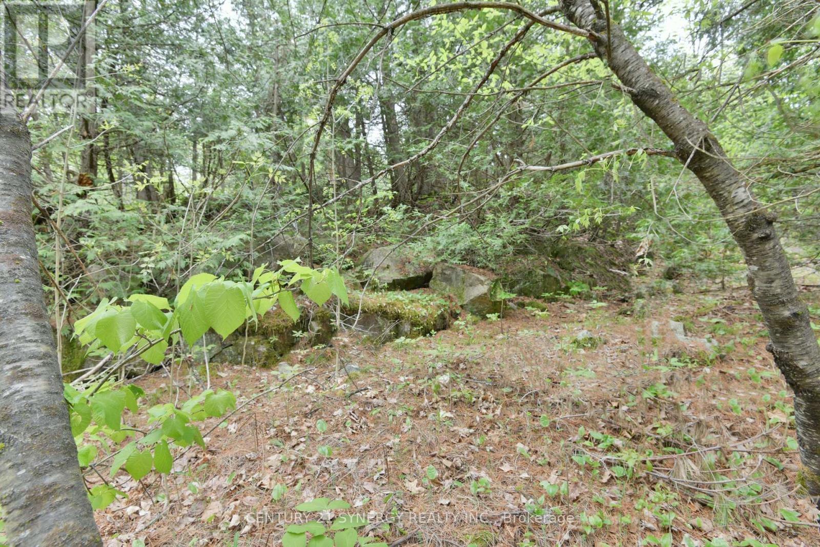 00 Milton Stewart Avenue, Mcnab/Braeside, ON