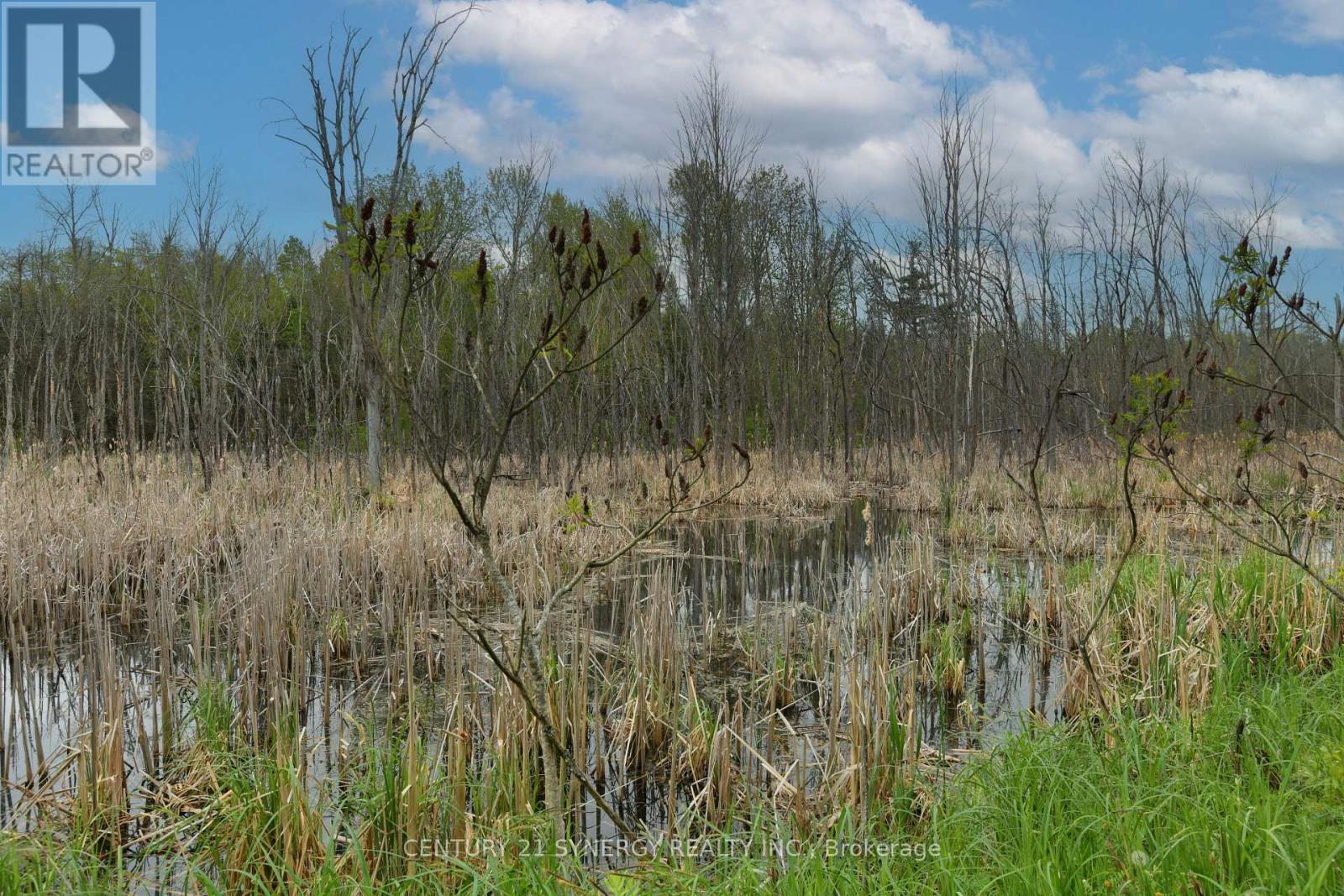 00 Milton Stewart Avenue, Mcnab/Braeside, ON