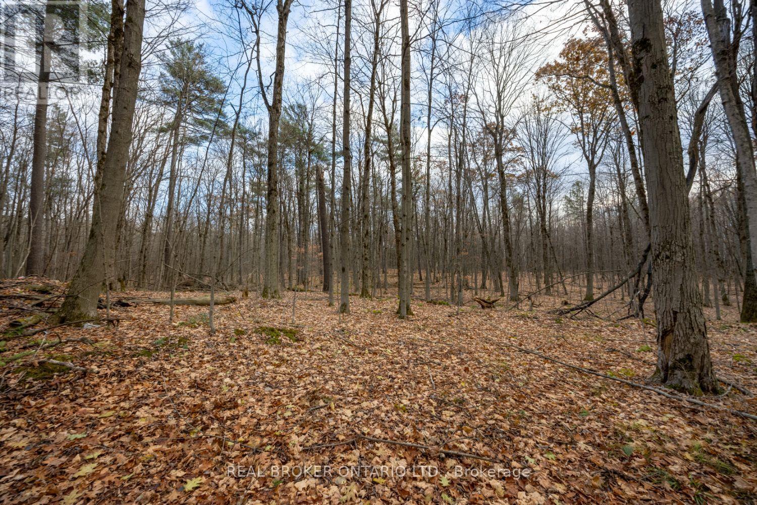 398 Sandy Hook Road, Kawartha Lakes (Manvers), ON - Outdoor With View