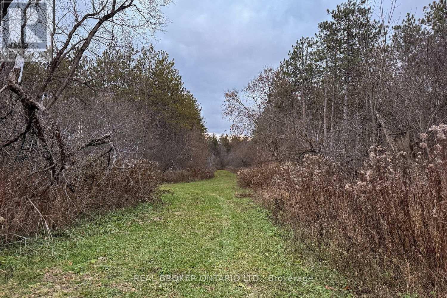 398 Sandy Hook Road, Kawartha Lakes (Manvers), ON - Outdoor With View