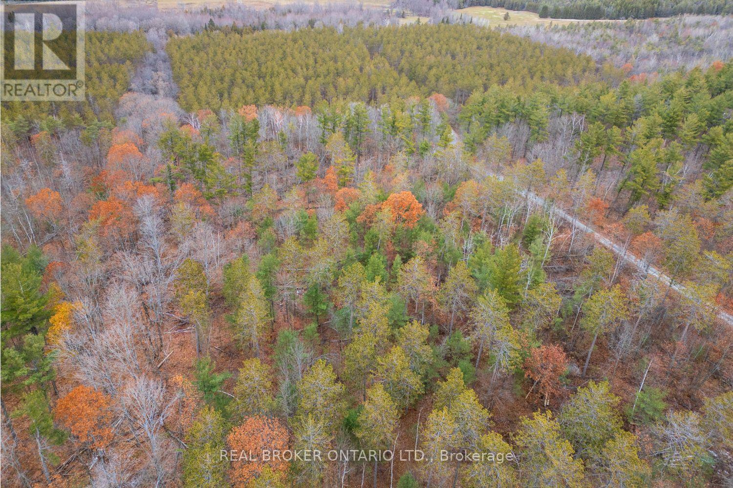 398 Sandy Hook Road, Kawartha Lakes (Manvers), ON - Outdoor With View