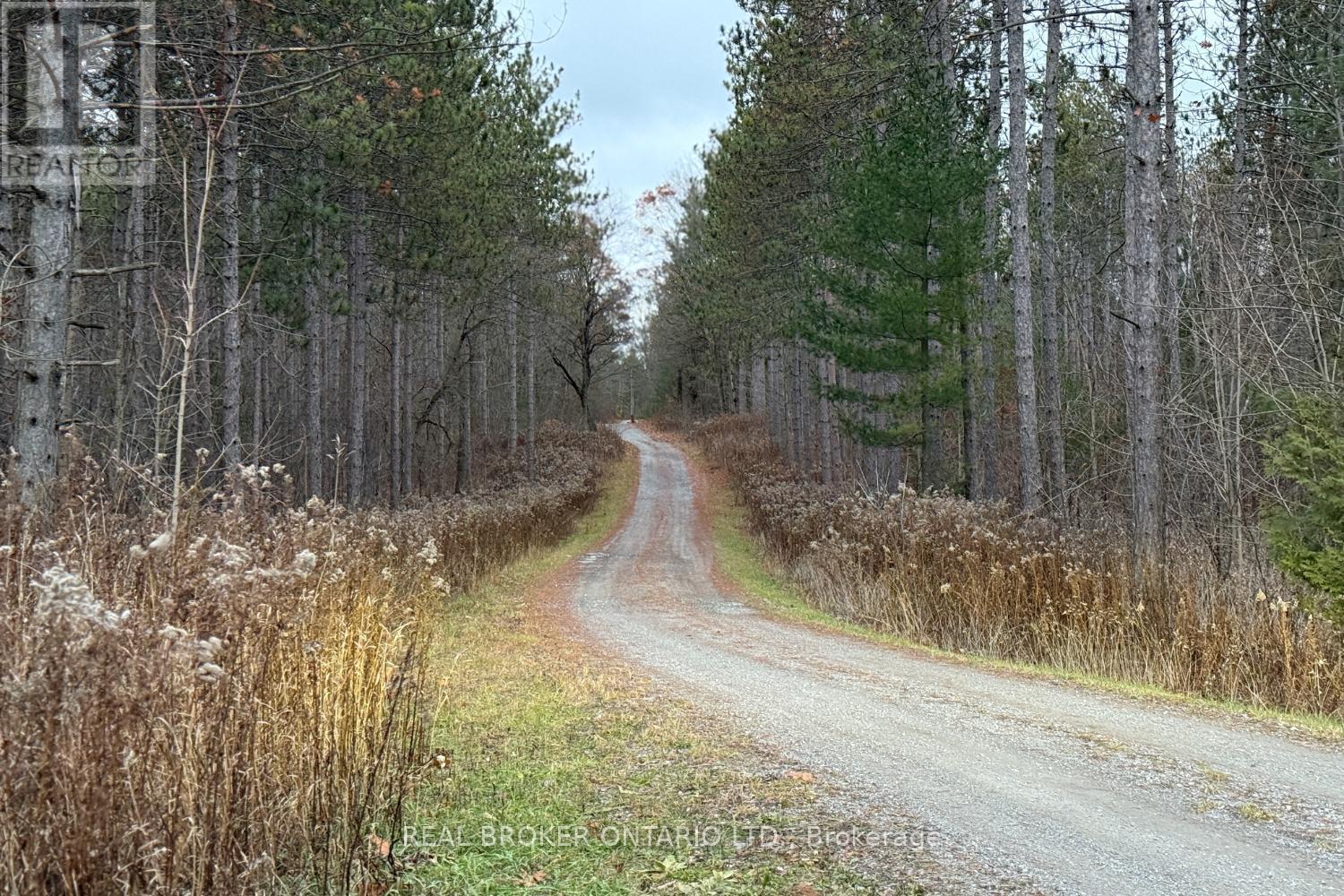 398 Sandy Hook Road, Kawartha Lakes (Manvers), ON - Outdoor With View