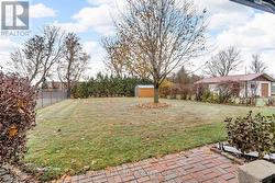 spacious back yard -