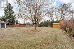 spacious back yard -