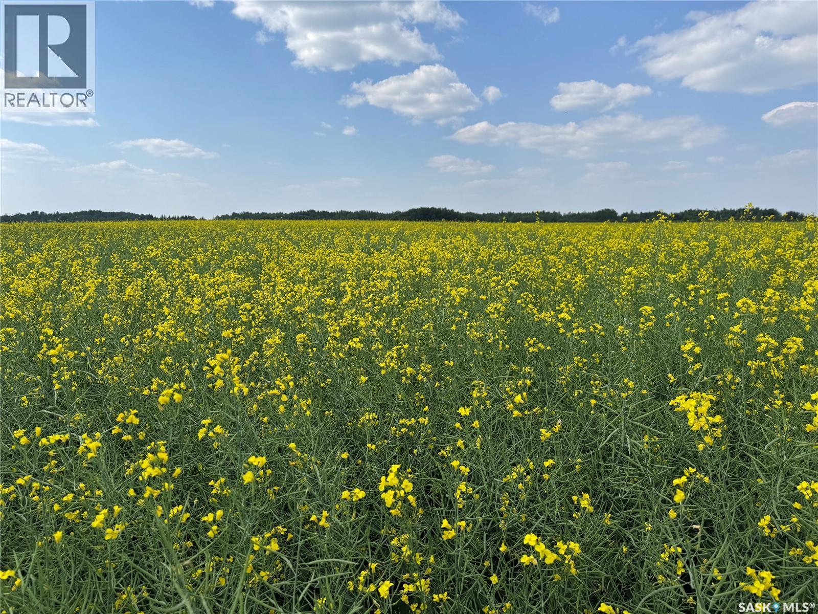 3 Quarters With Yard Site Near Endeavour, Endeavour, SK