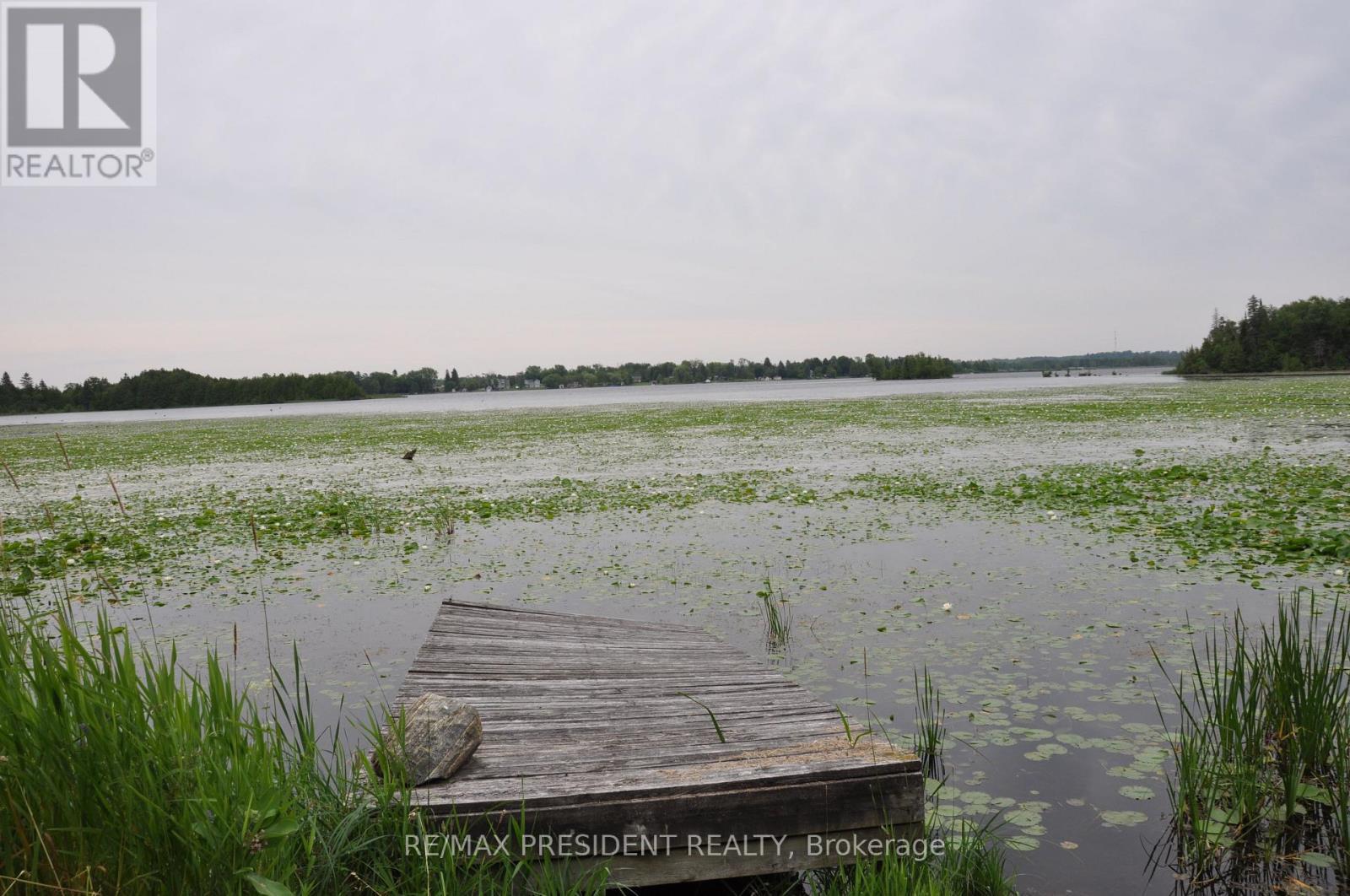 17 Cedar Bay Road, Kawartha Lakes, ON - Outdoor With View