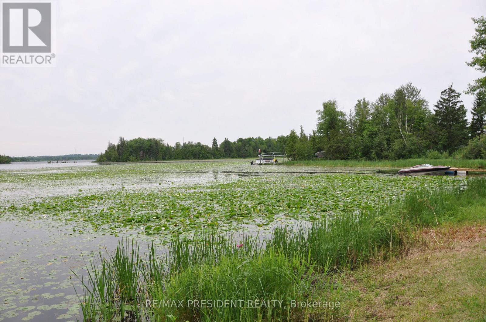 17 Cedar Bay Road, Kawartha Lakes, ON - Outdoor With View