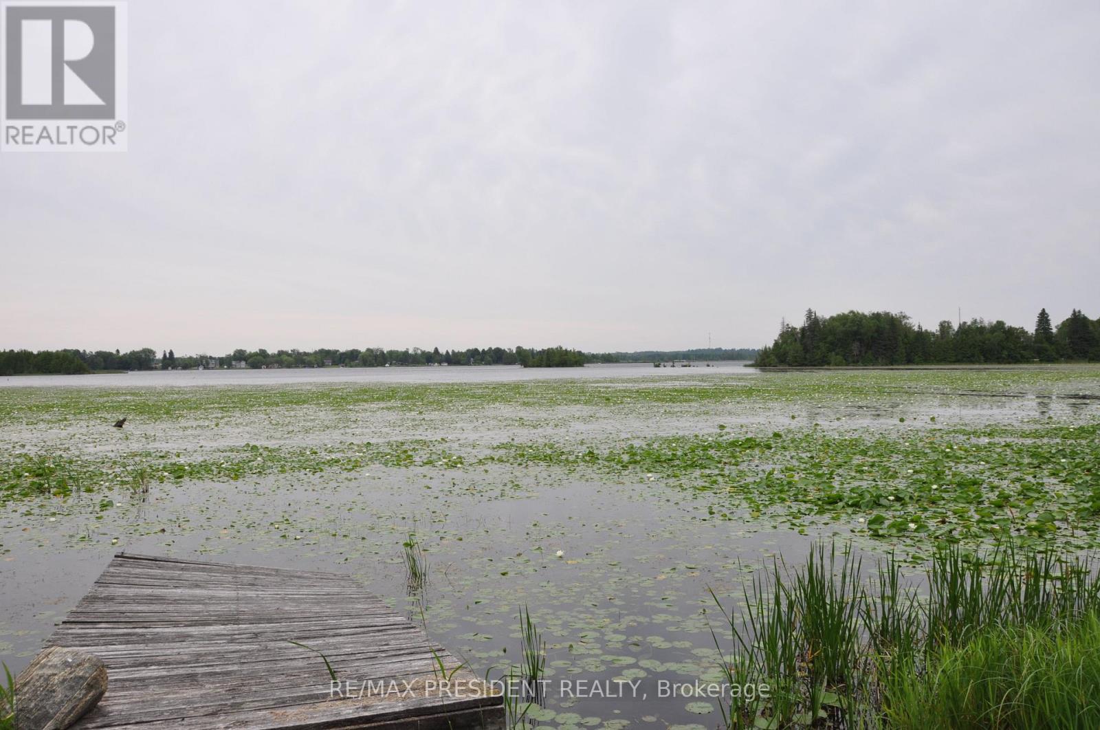 17 Cedar Bay Road, Kawartha Lakes, ON - Outdoor With View
