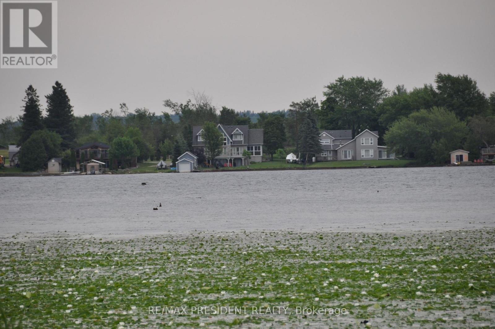 17 Cedar Bay Road, Kawartha Lakes, ON - Outdoor With Body Of Water