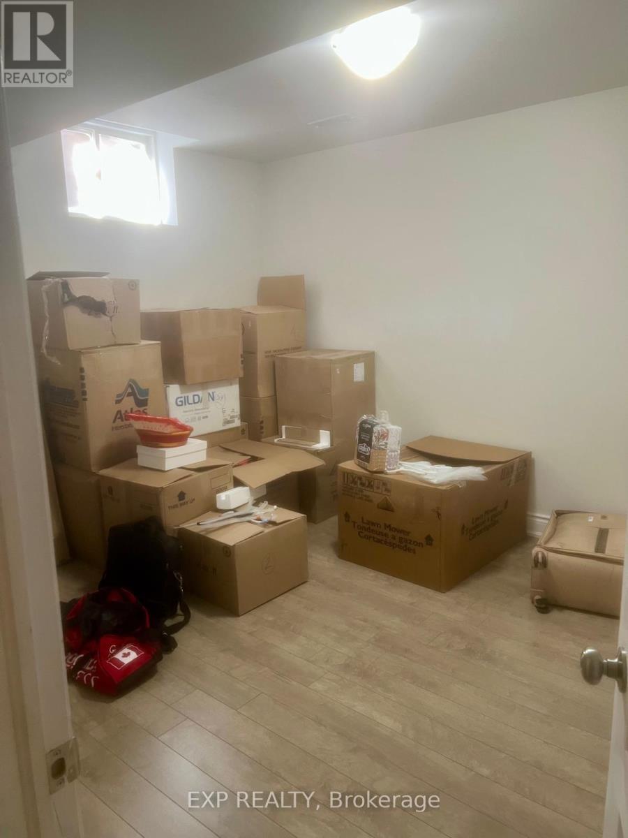 Lower - 20 Wynview Street, Brampton, ON - Indoor