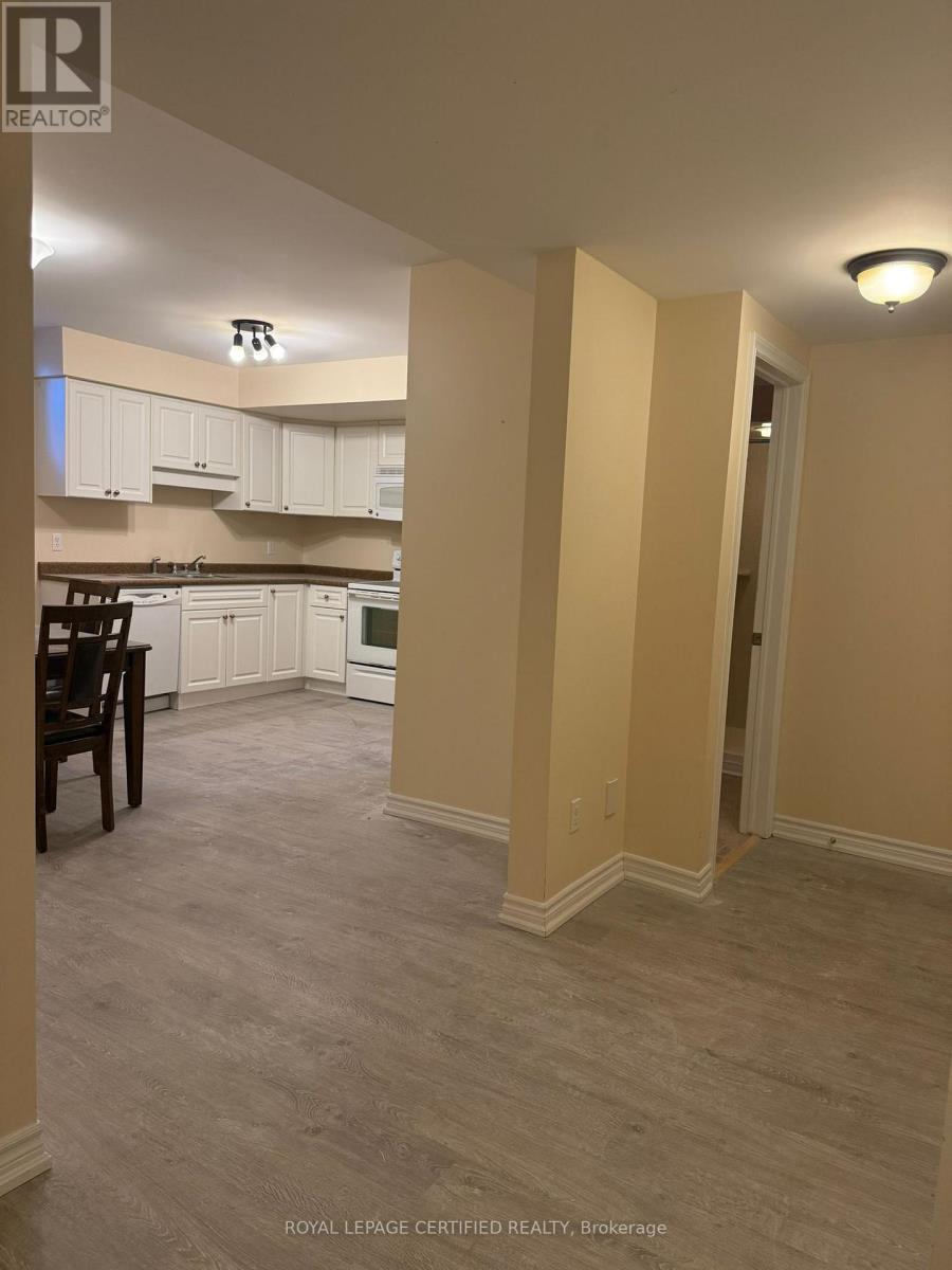 Lower Level - 11 Cantex Court E, Richmond Hill, ON