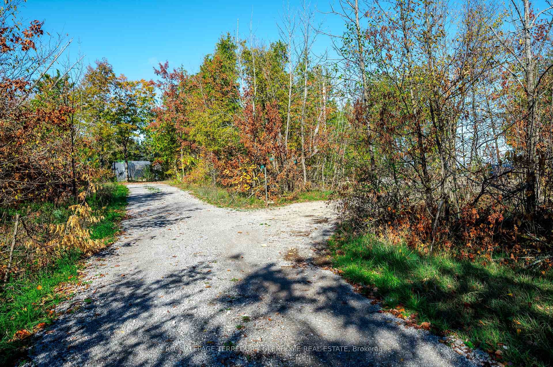 4 & 9 Fire Route 66D Lane N, Trent Lakes, ON - Outdoor