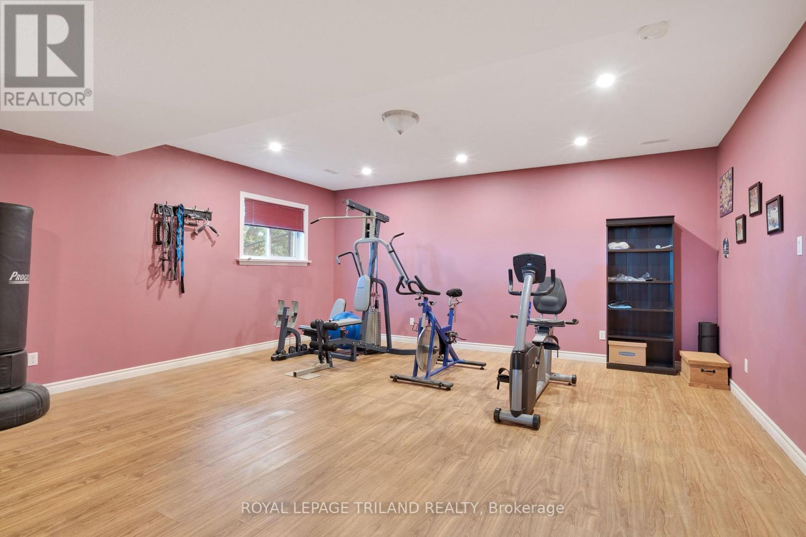 3805 Trillium Drive, Southwest Middlesex (Glencoe), ON - Indoor Photo Showing Gym Room