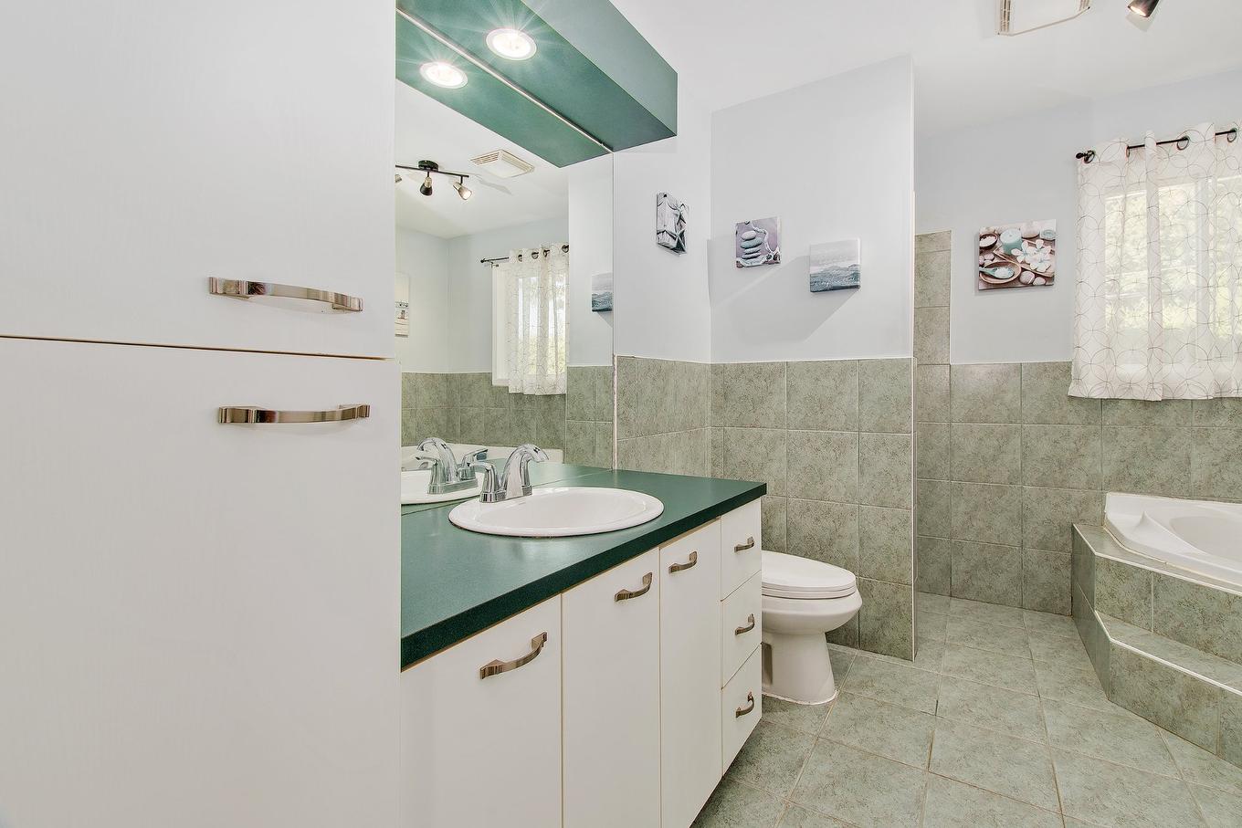 Salle de bains - 4220 Rue De Mauriac, Terrebonne (Terrebonne), QC - Indoor Photo Showing Bathroom