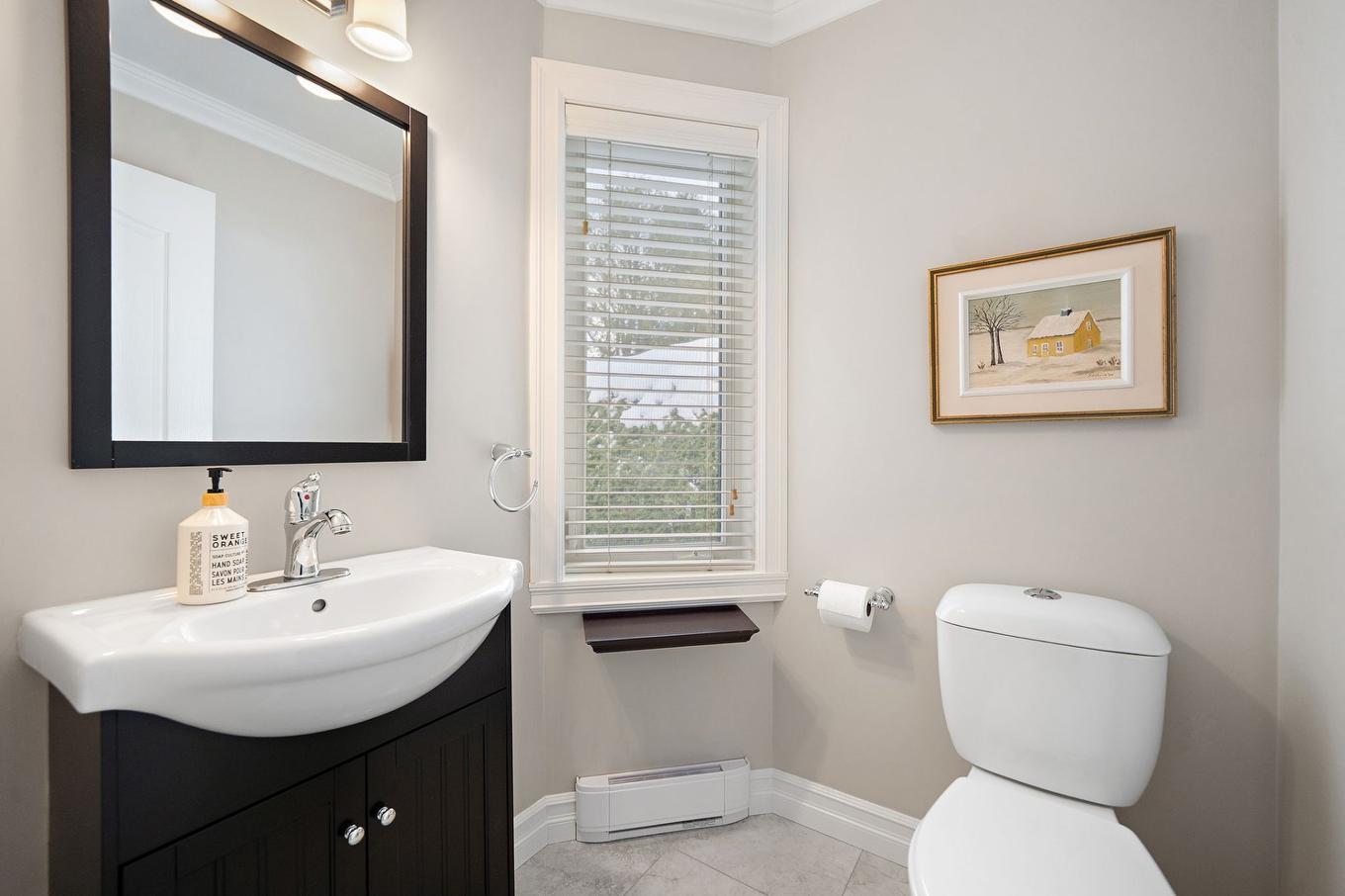 Salle d'eau - 91 Rue Des Pistoles, Blainville, QC - Indoor Photo Showing Bathroom