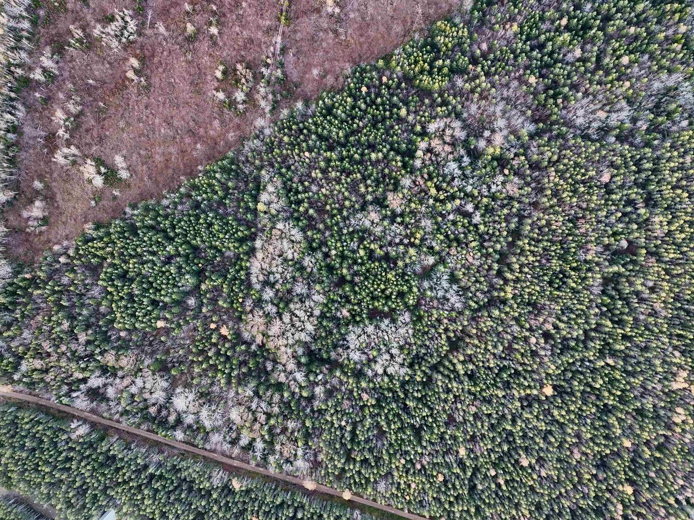 0 Hatchery Road, Margaree Valley, NS