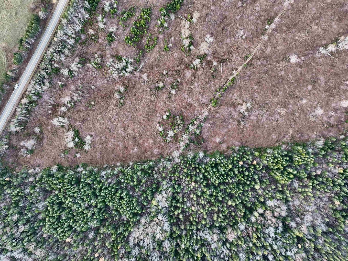 0 Hatchery Road, Margaree Valley, NS