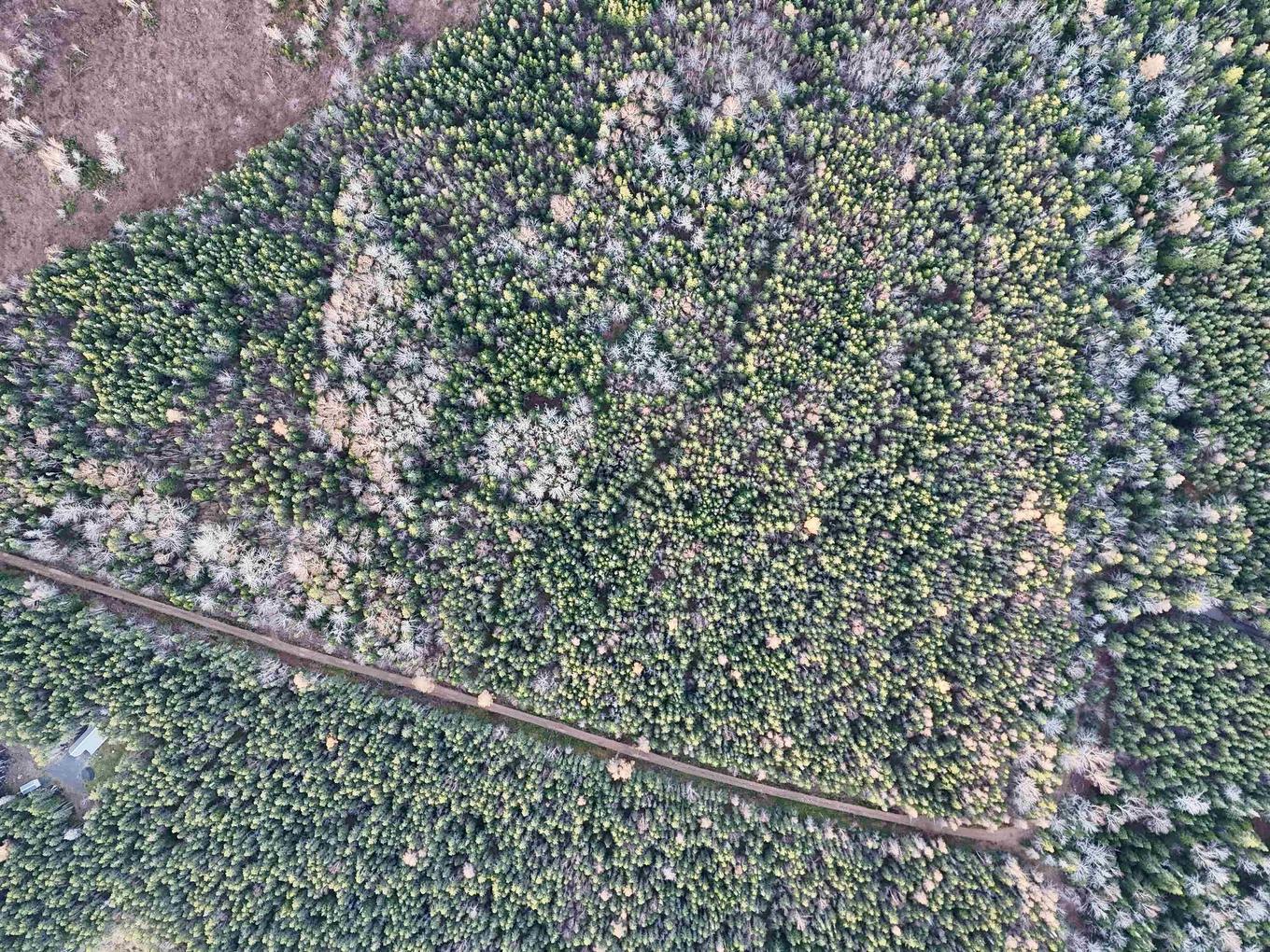 0 Hatchery Road, Margaree Valley, NS