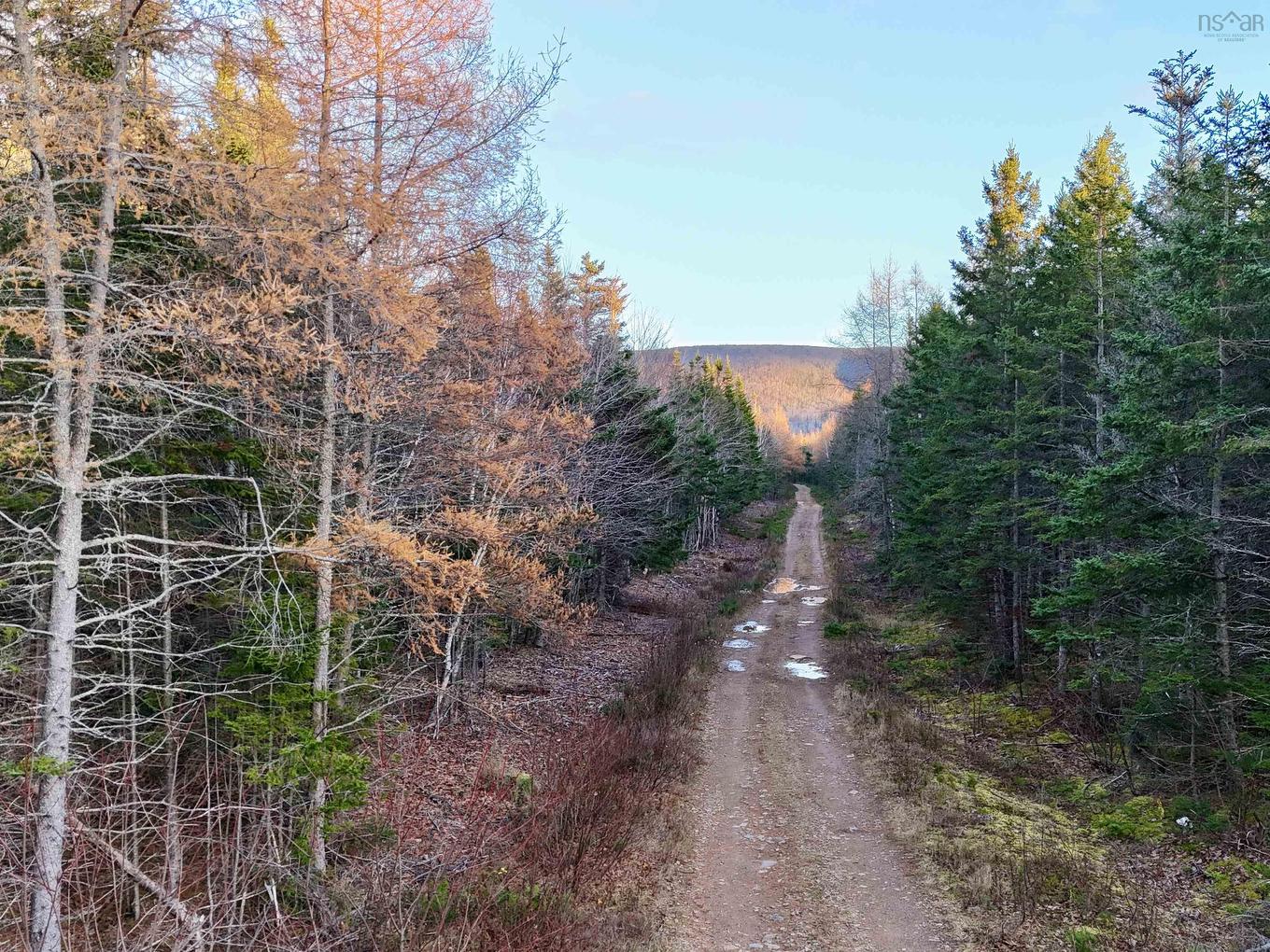 0 Hatchery Road, Margaree Valley, NS