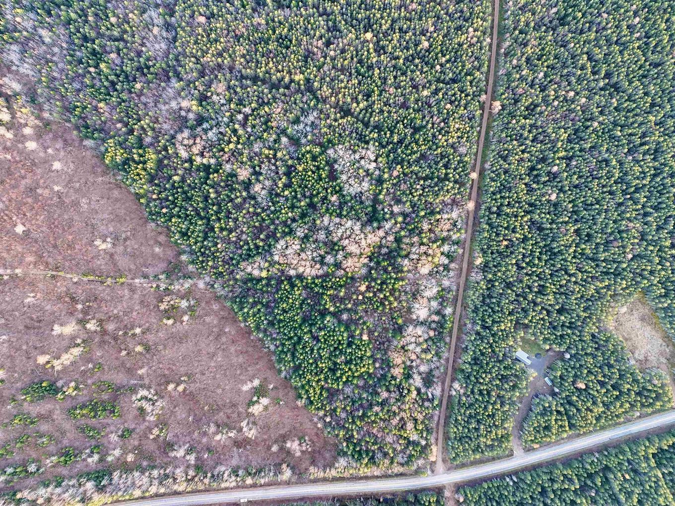 0 Hatchery Road, Margaree Valley, NS