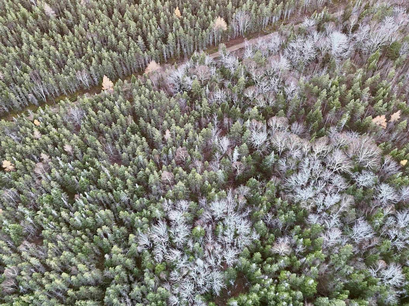 0 Hatchery Road, Margaree Valley, NS