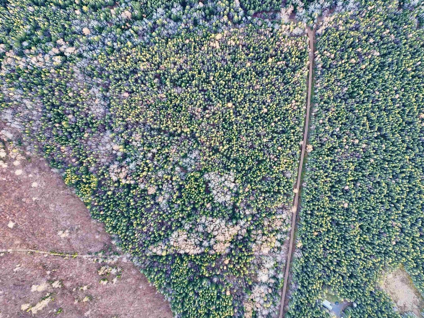 0 Hatchery Road, Margaree Valley, NS