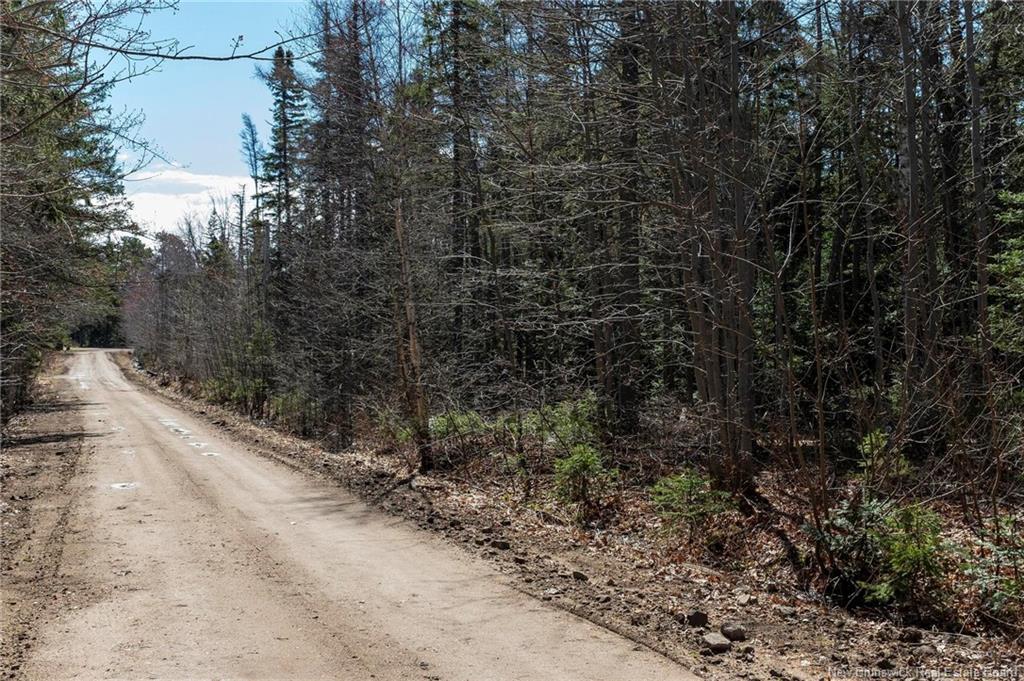 25 Ferry Rd, Jardineville, NB