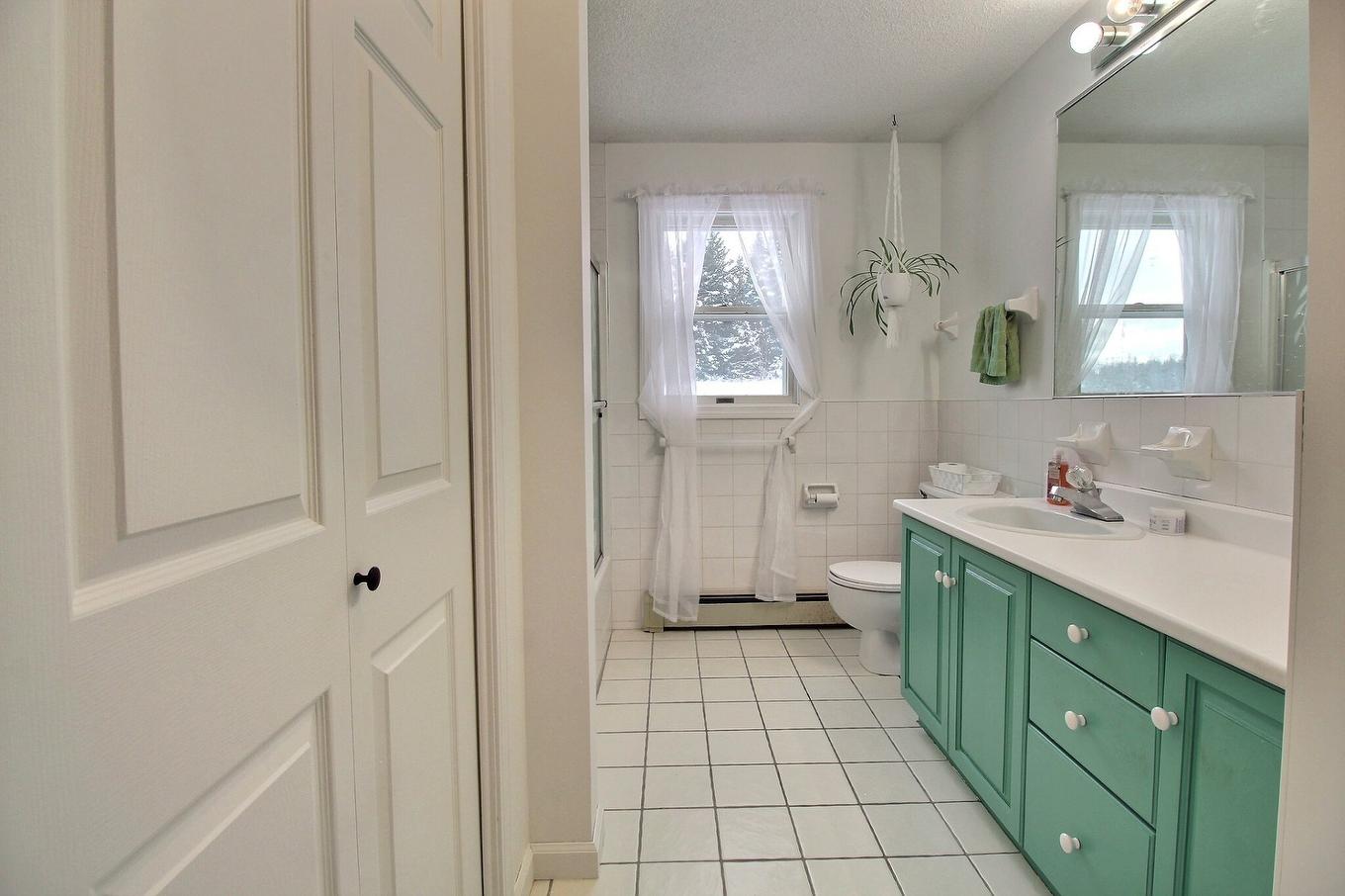 Salle de bains - 328 6E Rang N., Saint-Honoré-De-Shenley, QC - Indoor Photo Showing Bathroom