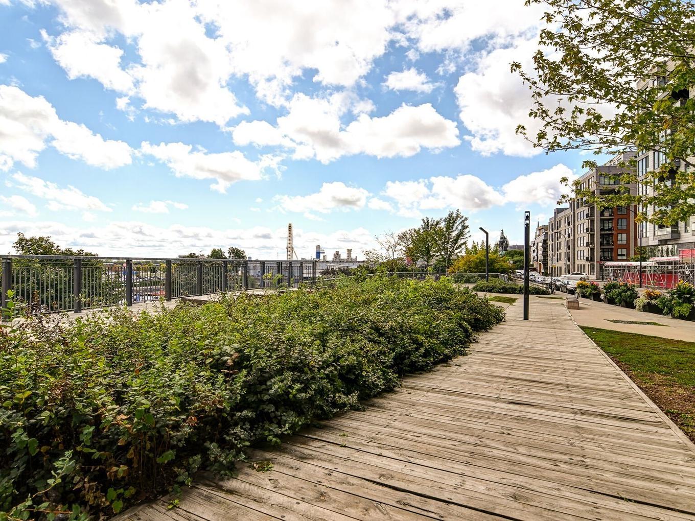 Vue d'ensemble - 312-370 Rue St-André, Montréal (Ville-Marie), QC - Outdoor With View