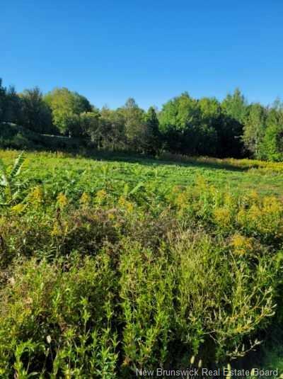 89-38 Parkhurst Dr, Grafton, NB