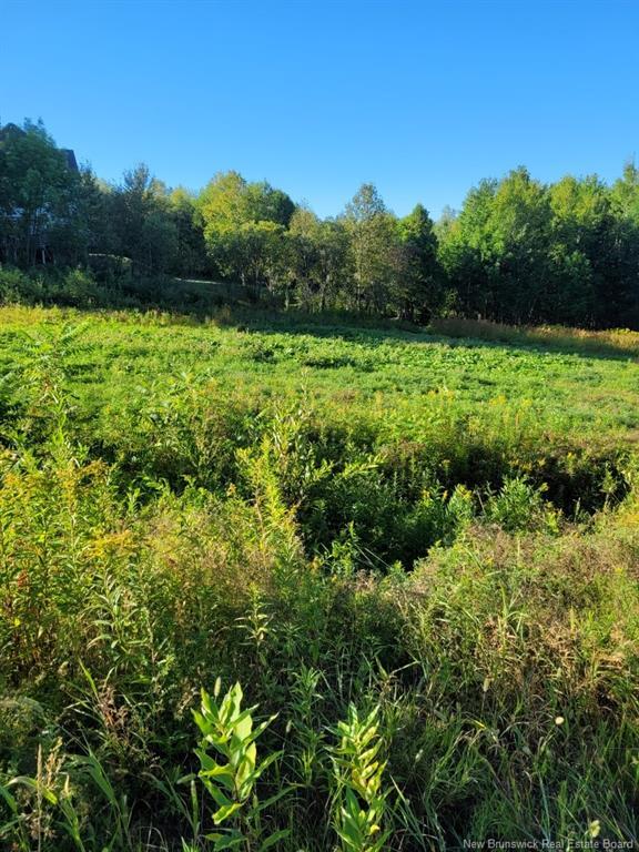 89-38 Parkhurst Dr, Grafton, NB