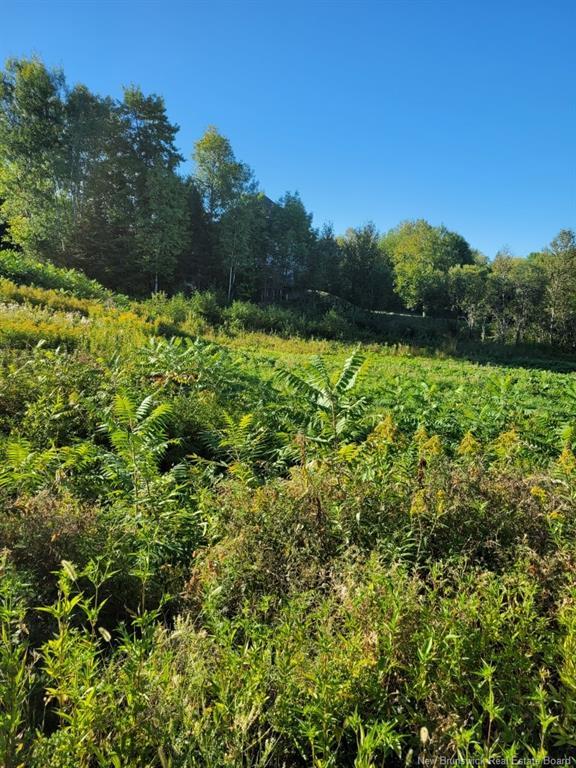 89-38 Parkhurst Dr, Grafton, NB